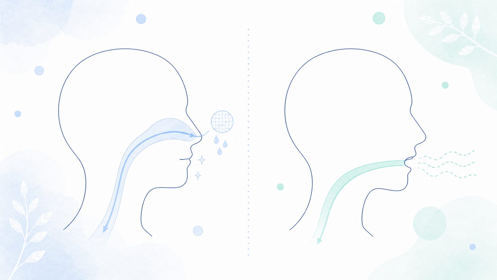 鼻呼吸と口呼吸で空気の通り道が違うことを示した比較イラスト