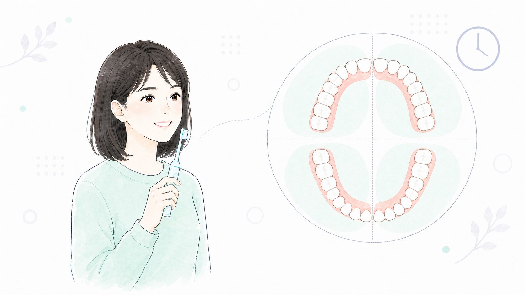 口の中を4分割して磨く順番を示した図と女性のイラスト