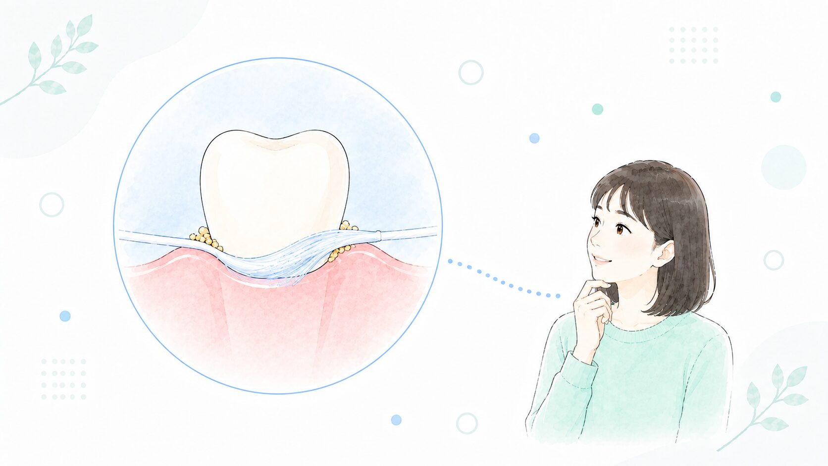 歯ぐきのきわに沿うフロアフロスの糸の図解